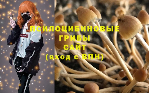 соль курить ск Аркадак