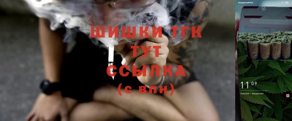 амф Арсеньев